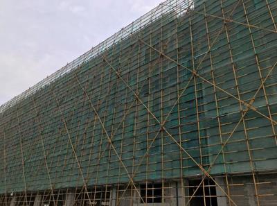 部門聯動發力擴建校園，為“新都市”項目保駕護航——聚焦內外墻粉刷工程